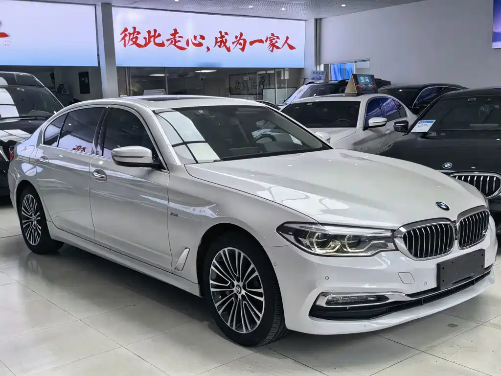 BMW 5 Series 5 2018 530Li Premium Luxury