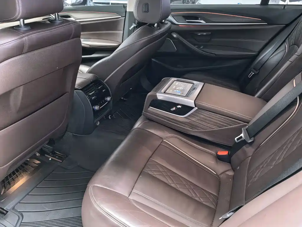 BMW 5 Series 5 2018 530Li Premium Luxury