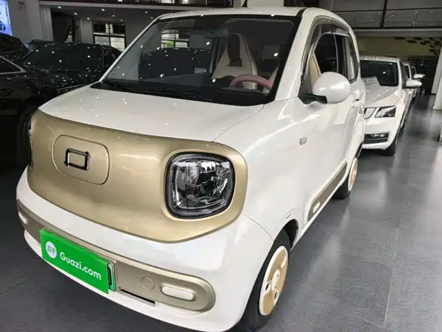 2024 Bestune Pony