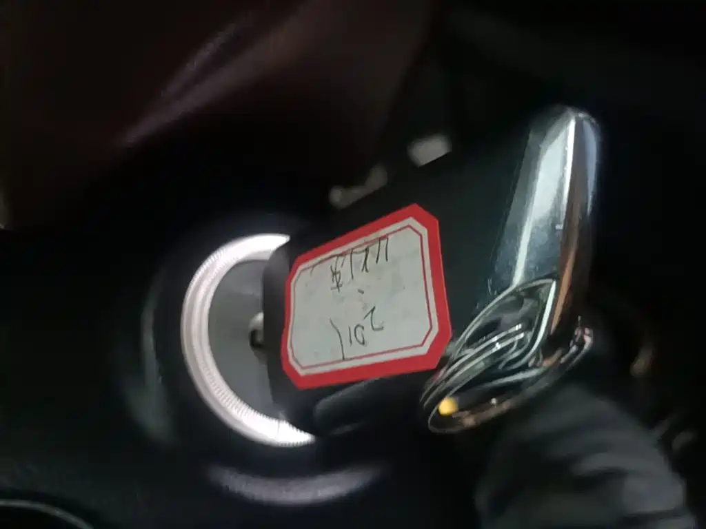 Bisu Bisu T3 — миниатюра 9