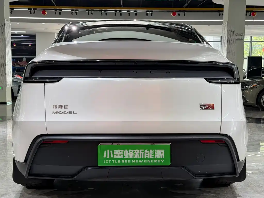 Tesla Model Y — миниатюра 15