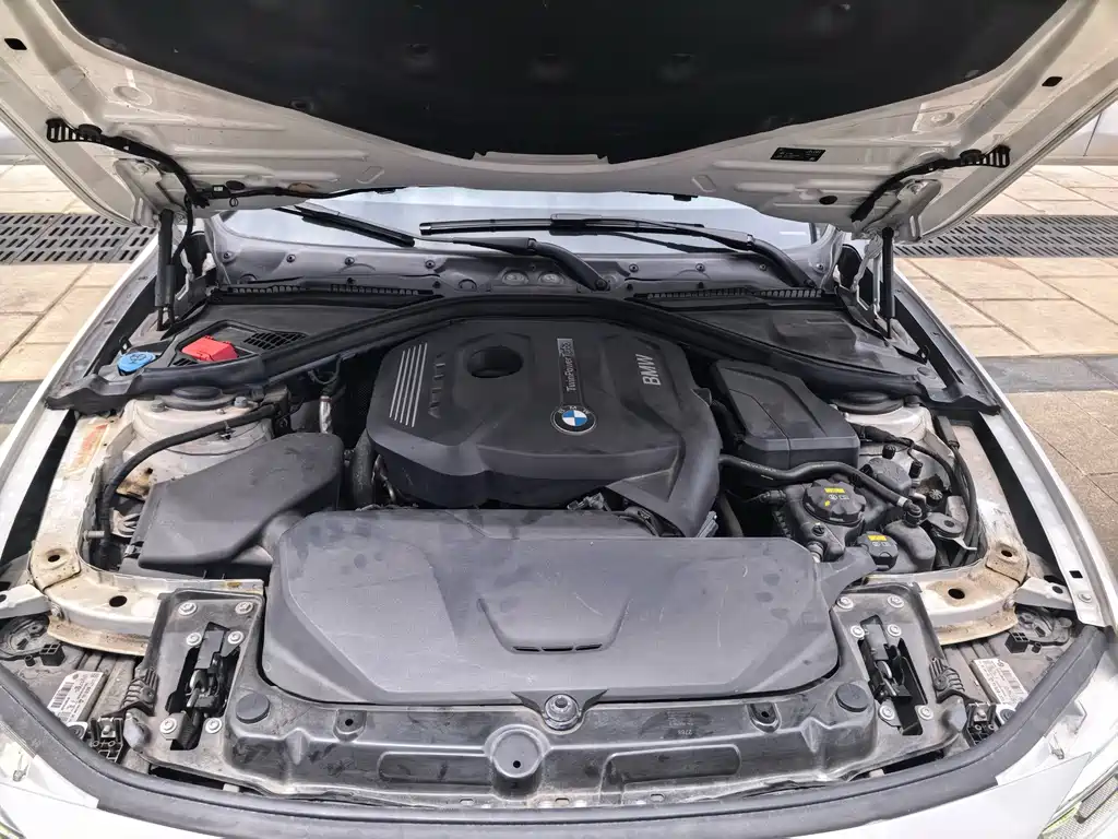BMW 3 Series 3 2019 320Li Fashion