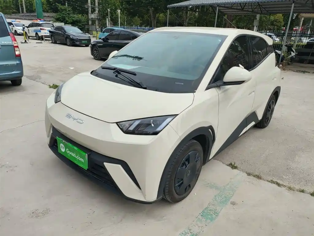 Byd Seagull 2024
