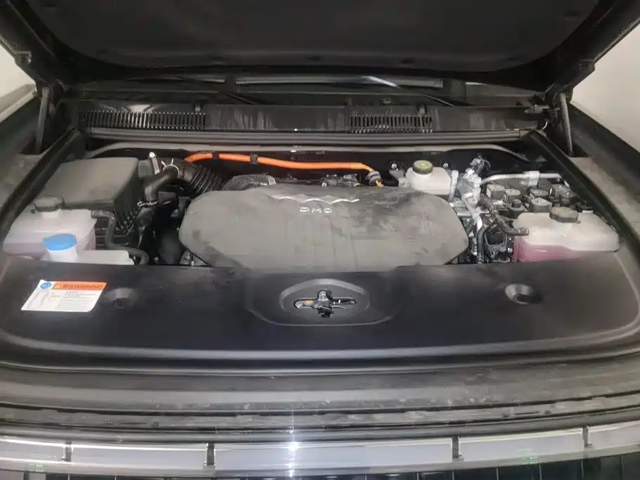 FANG CHENG BAO LEOPARD 5