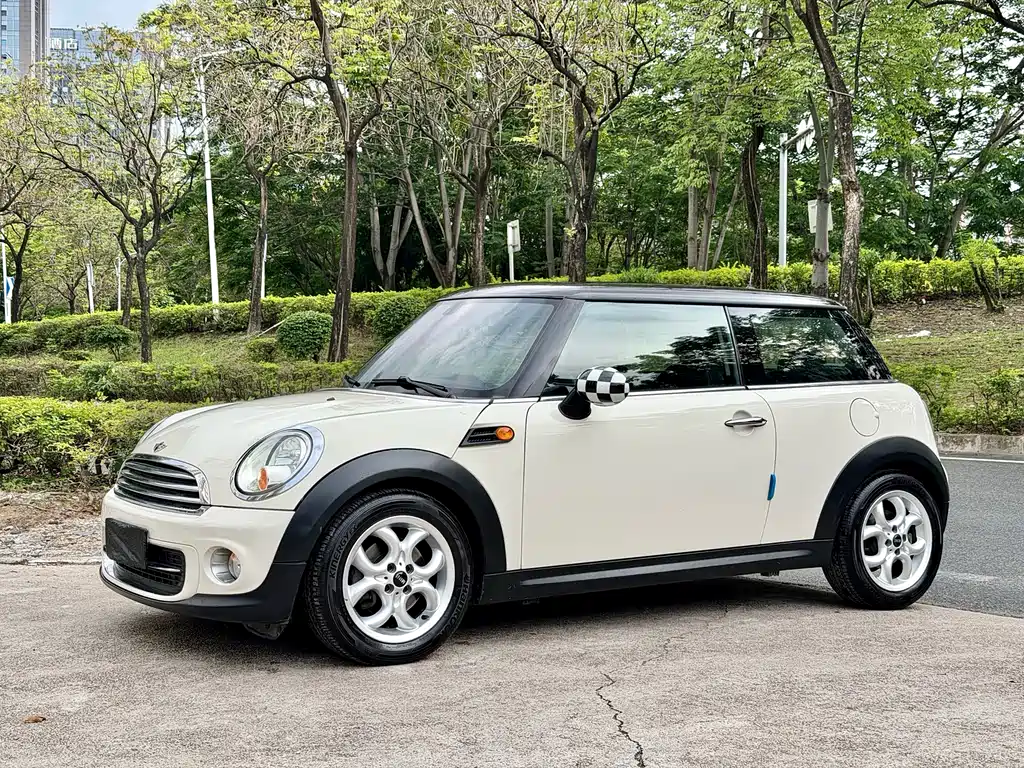 Mini Mini 2012