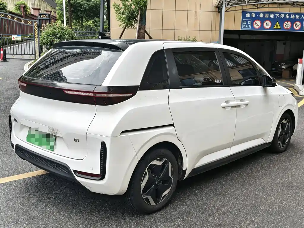 BYD D1 — миниатюра 5