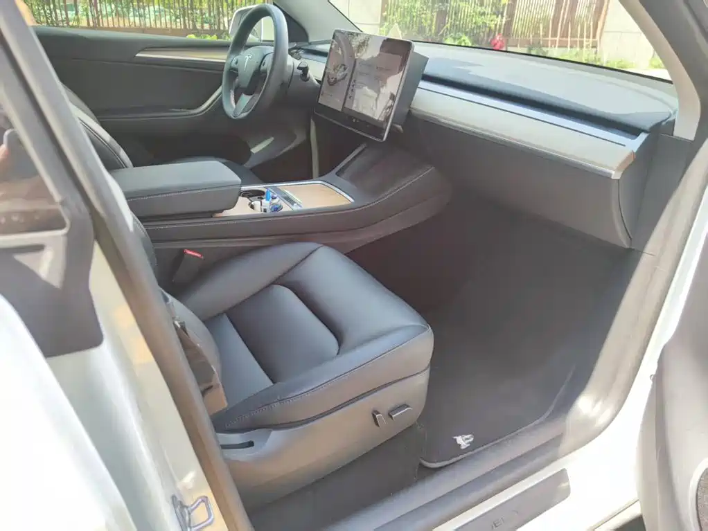 Tesla Model Y — миниатюра 2