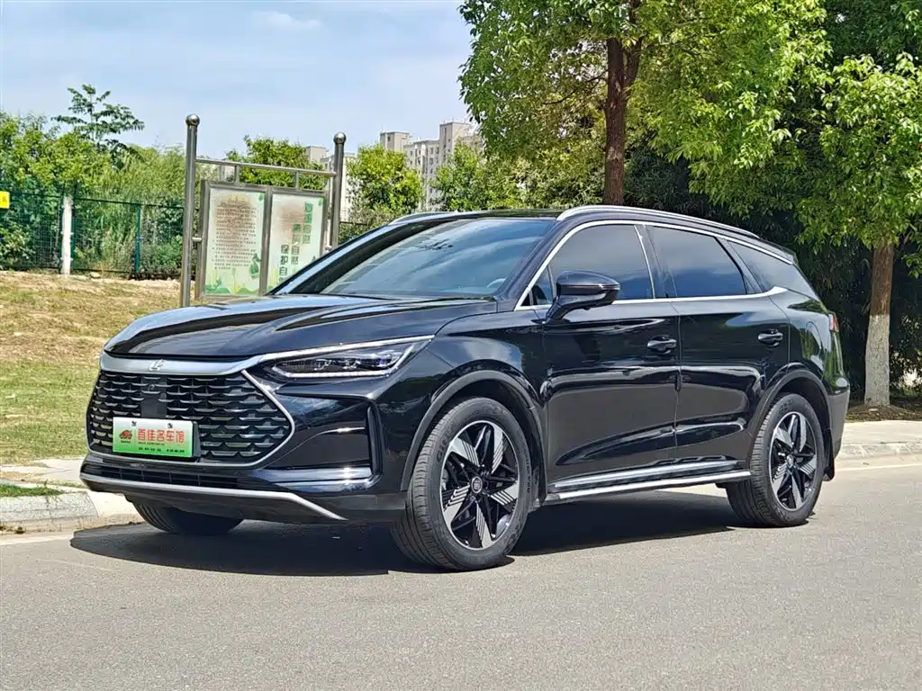 Byd Tang New Energy 2024