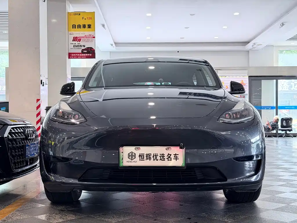 Tesla Model Y — миниатюра 2