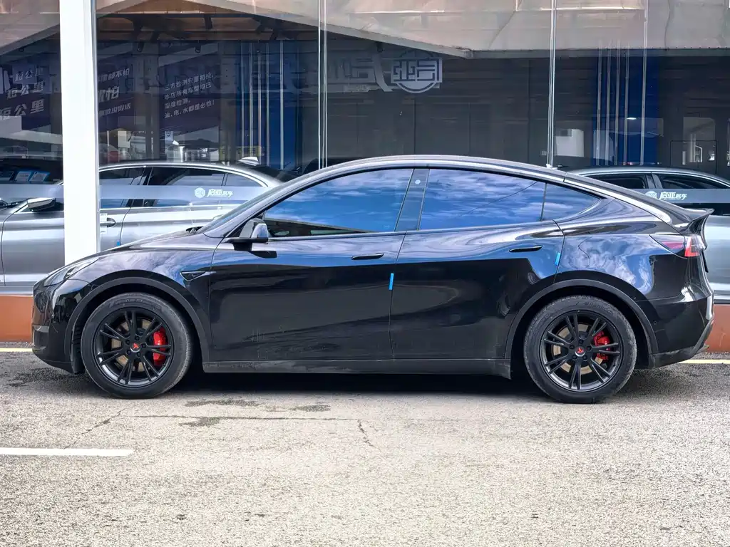 Tesla Model Y — миниатюра 4