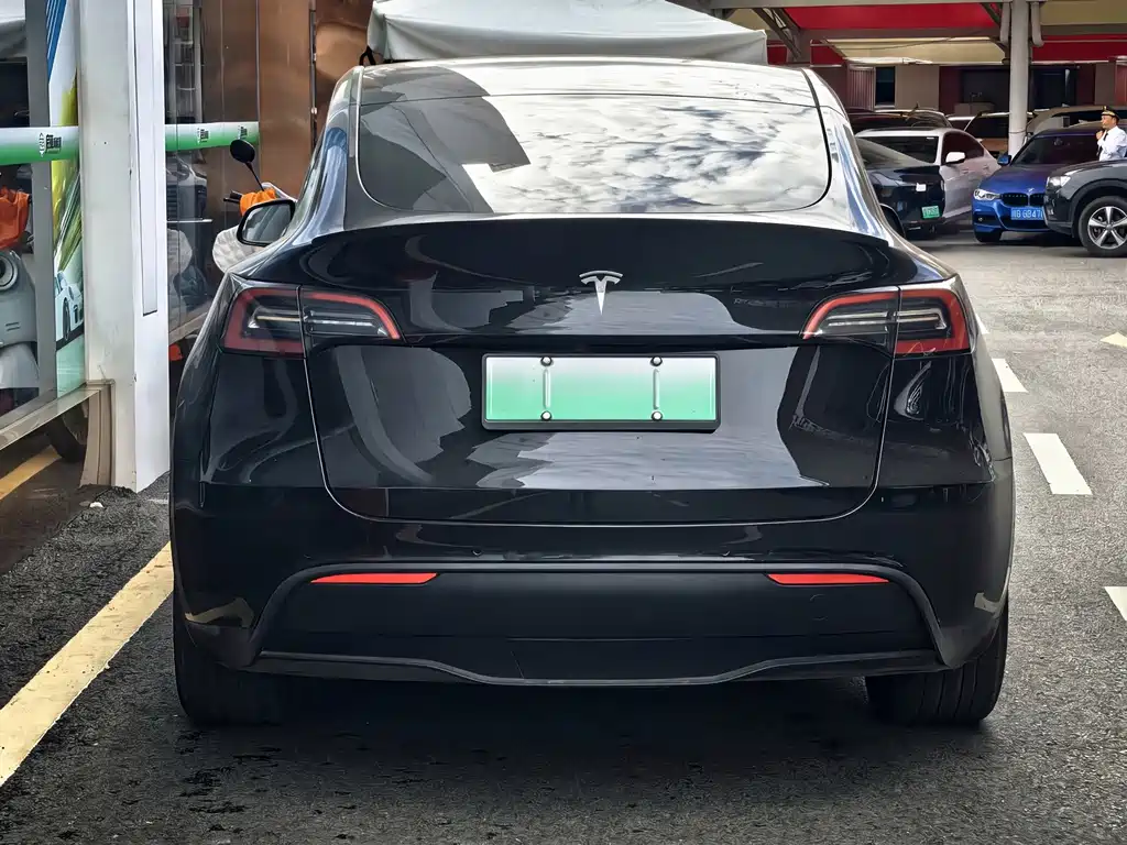 Tesla Model Y — миниатюра 6
