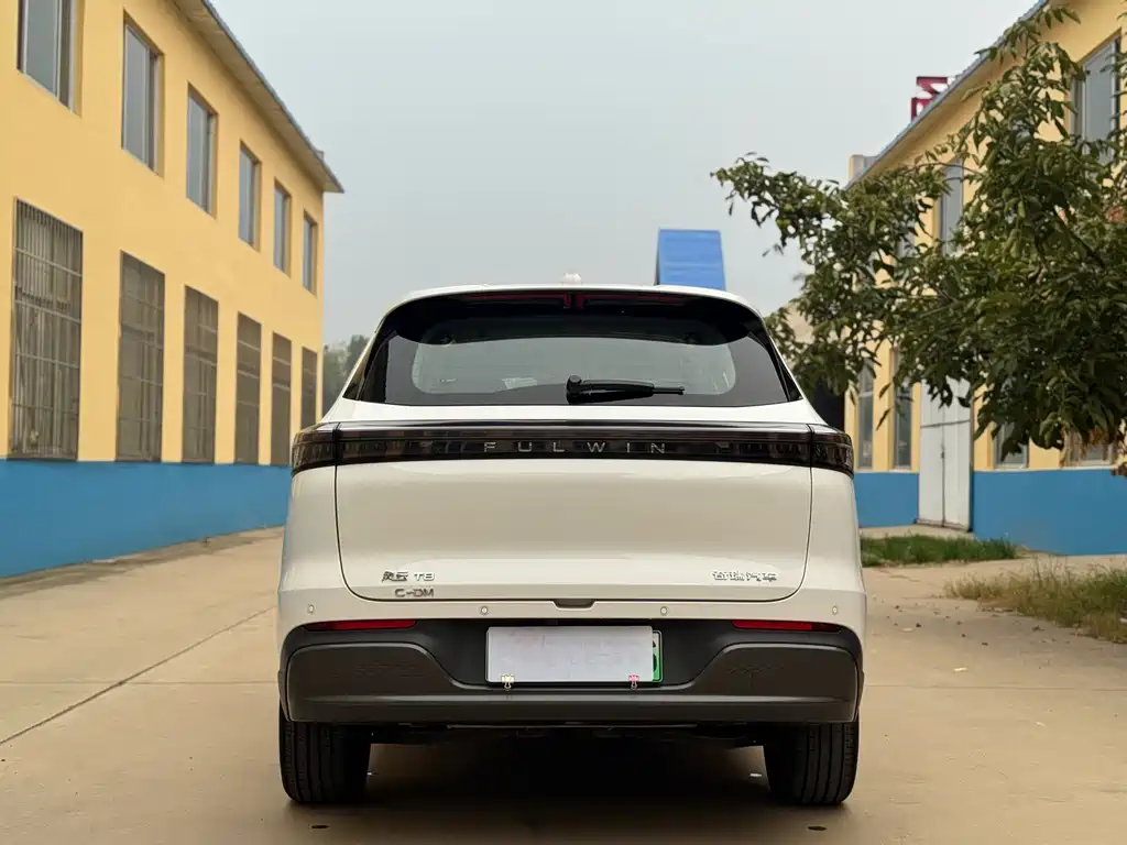 Fulwin Fengyun T8 — миниатюра 8
