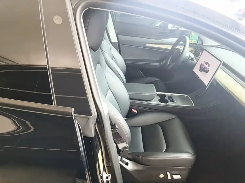 Tesla Model Y — миниатюра 25