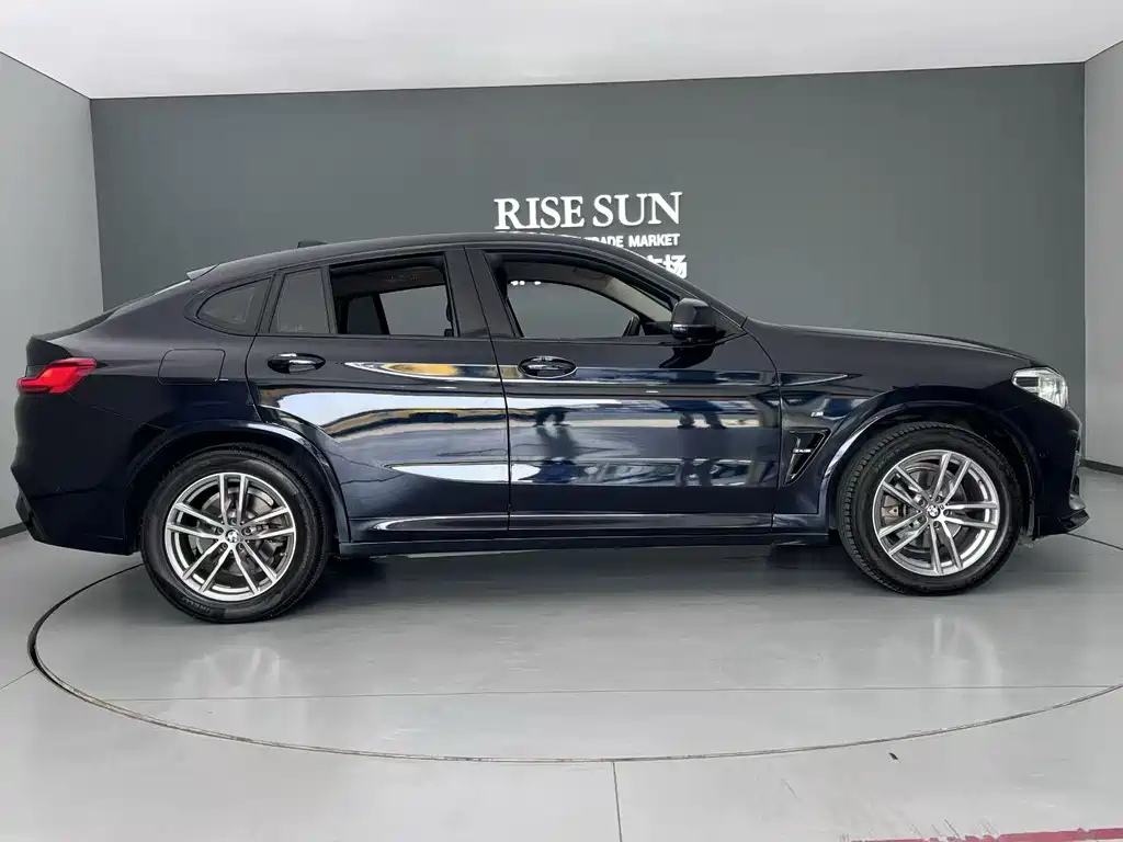 BMW X4 2019 xDrive25i M Sport