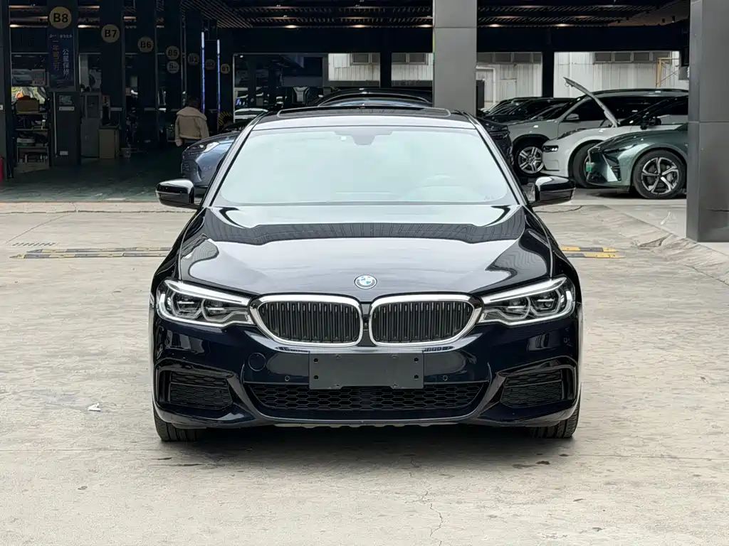 BMW 5 SERIES