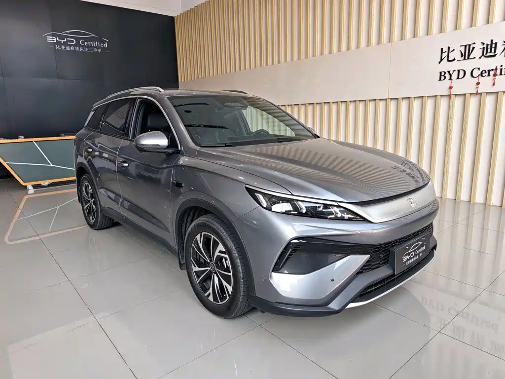 BYD Pro New Energy — миниатюра 3