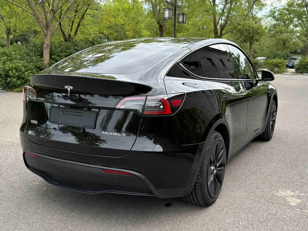 Tesla Model Y — миниатюра 6