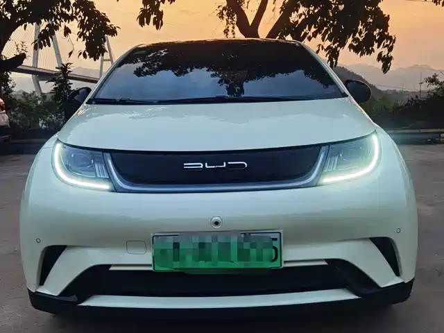 2024 BYD Dolphin