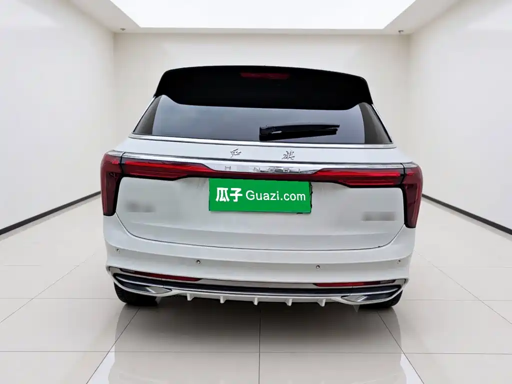 Hongqi Hongqi E-HS9 — миниатюра 3
