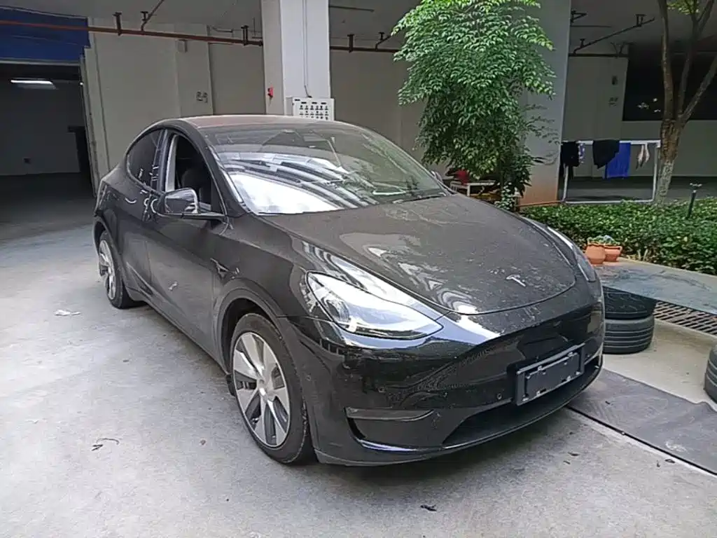 Tesla Model Y — миниатюра 4