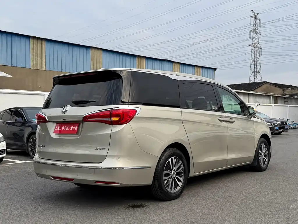 Buick GL8 — миниатюра 15