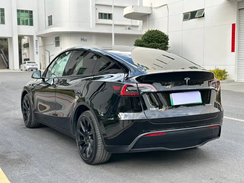 Tesla Model Y — миниатюра 6