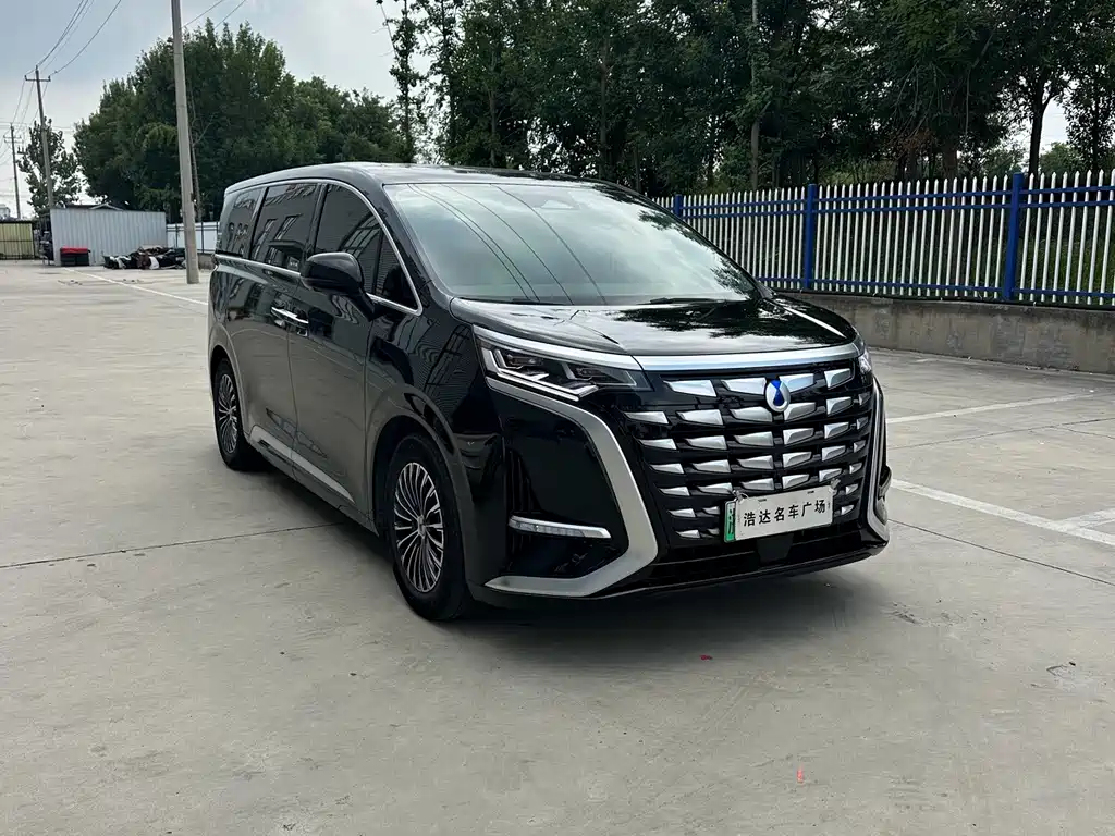 Denza Denza D9 — миниатюра 3