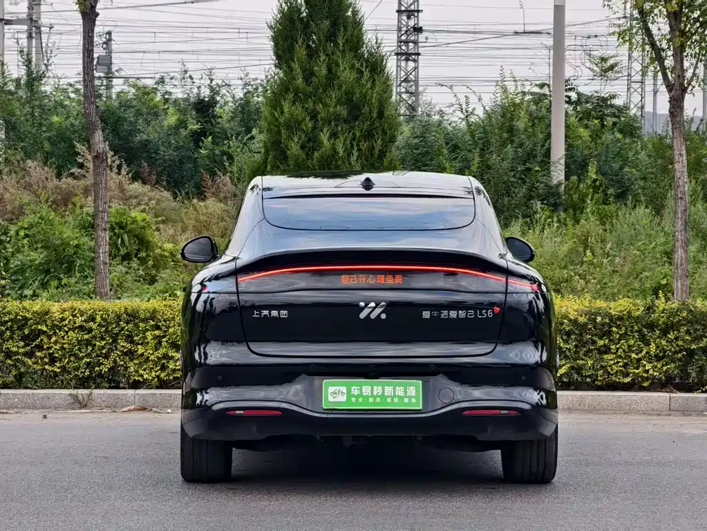 IM IM LS6 — миниатюра 5