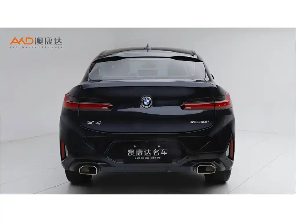 BMW X4 — миниатюра 4