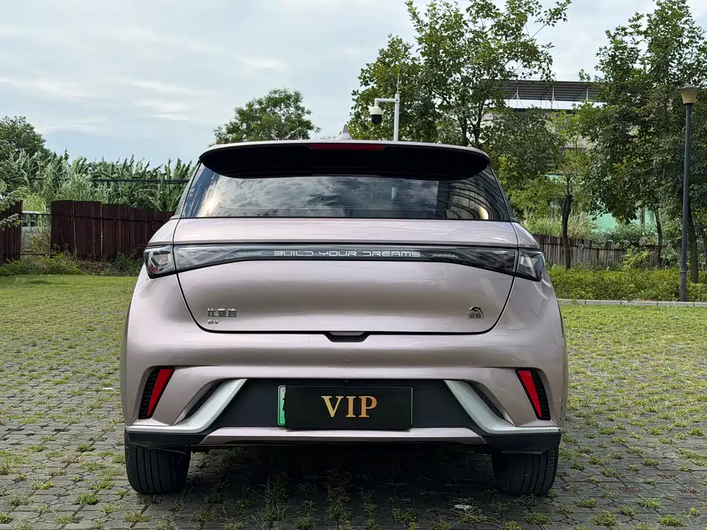 BYD Dolphin — миниатюра 5