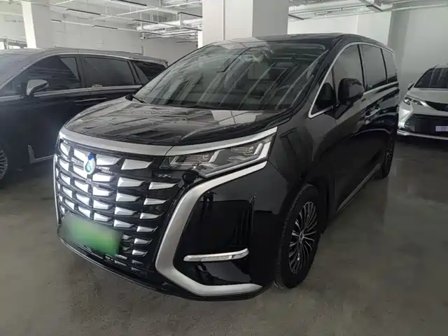 2024 Denza D9