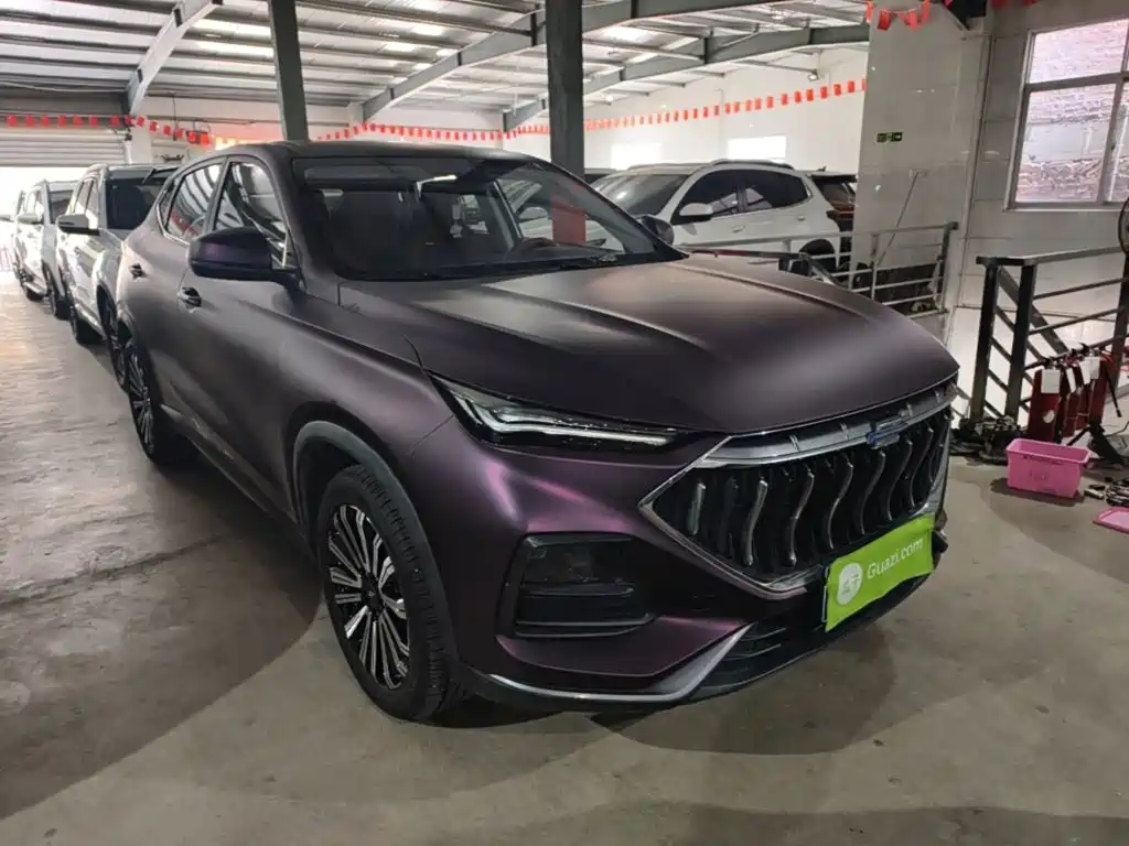 Oshan Oushang X5 — миниатюра 4
