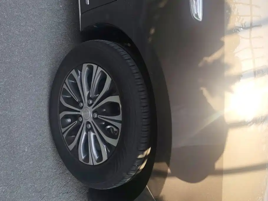 Buick GL8 — миниатюра 6