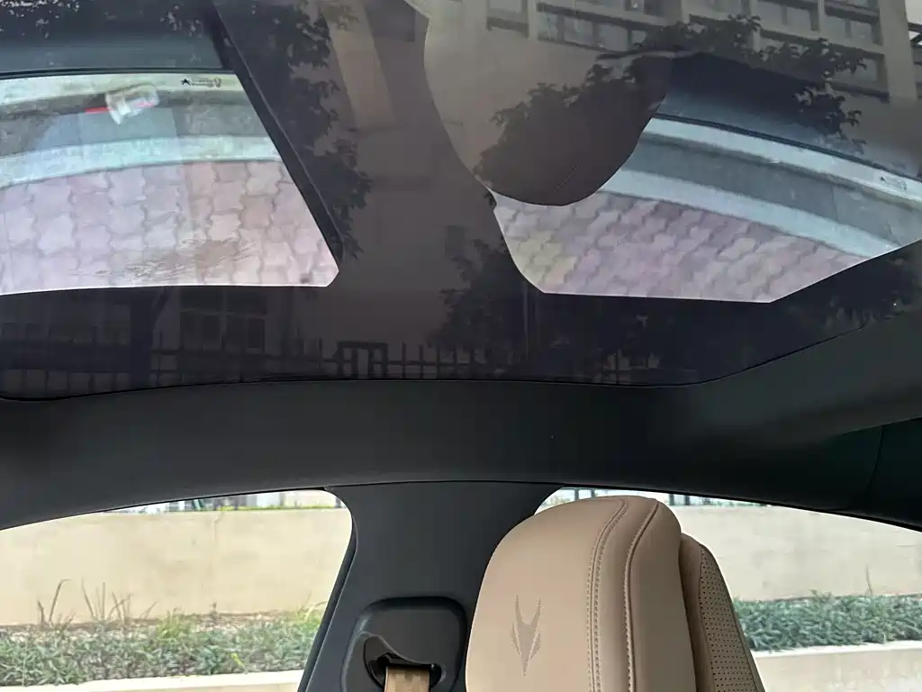 ARCFOX EXTREME FOX POLAR FOX ALPHA S5