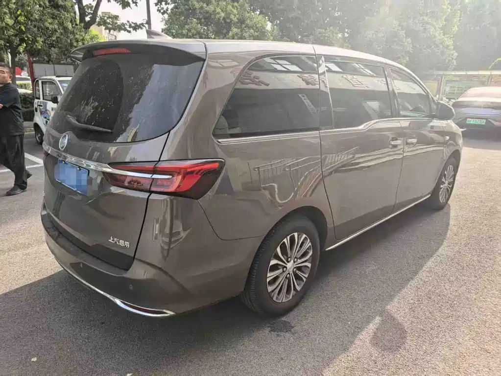 Buick GL8 — миниатюра 5