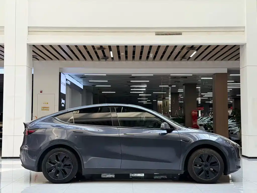 Tesla Model Y — миниатюра 4