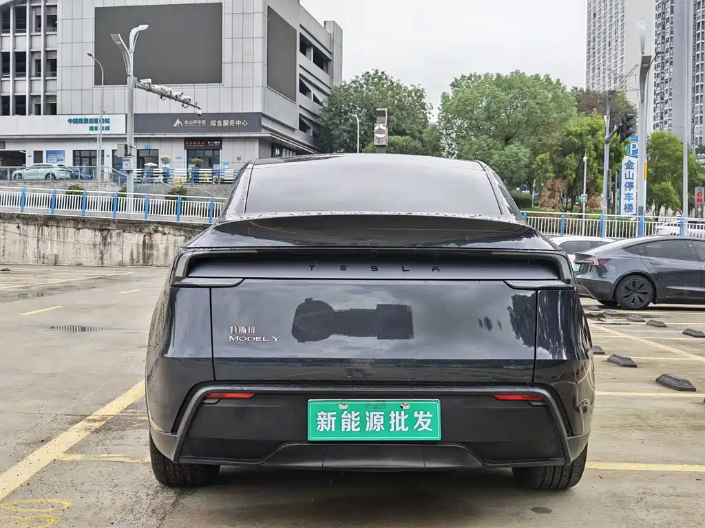 Tesla Model Y — миниатюра 5