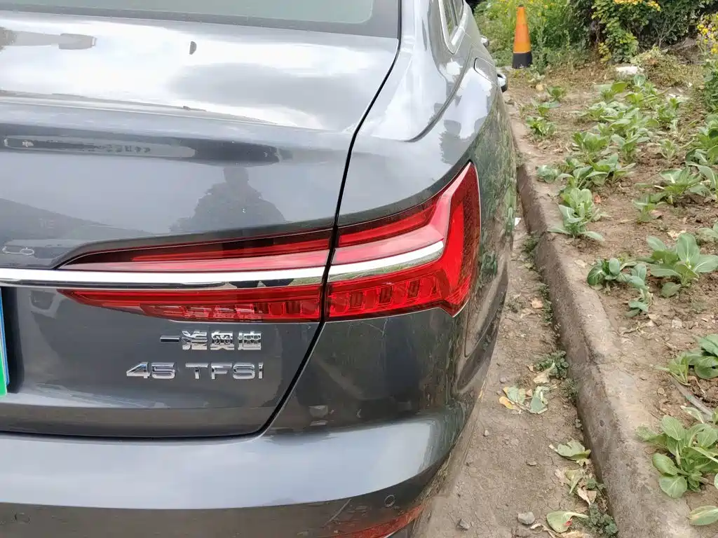 Audi A6L — миниатюра 24