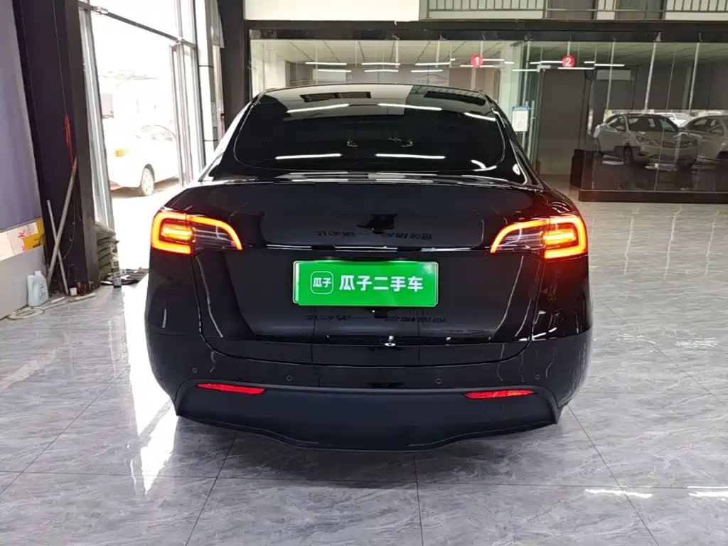 Tesla Model Y — миниатюра 6