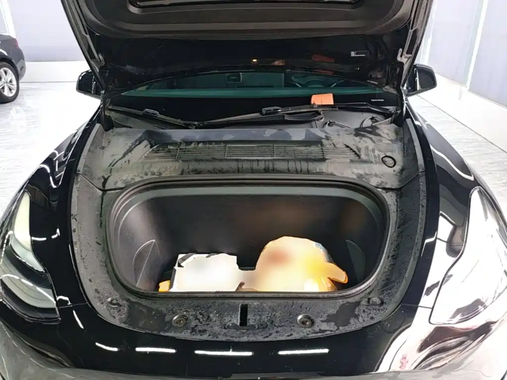 Tesla Model Y — миниатюра 20