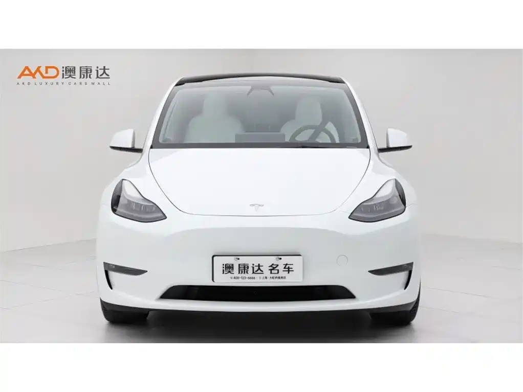 Tesla Model Y — миниатюра 2