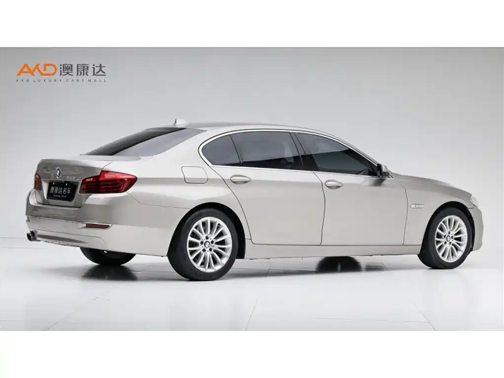 BMW 5 Series — миниатюра 3