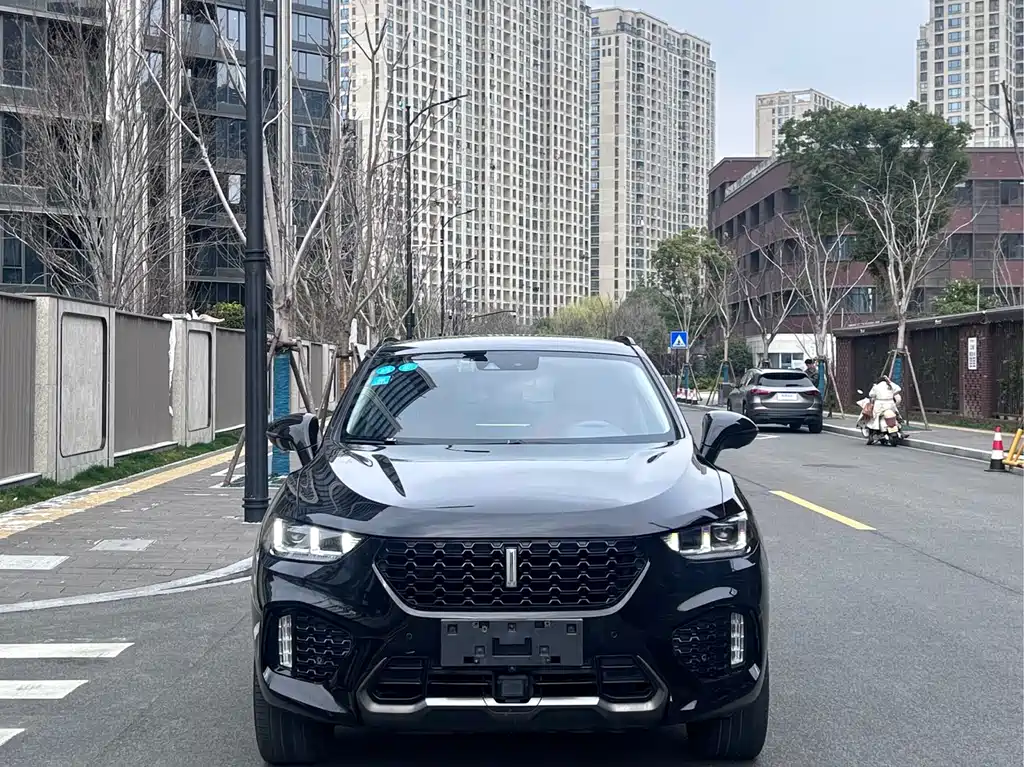 WEI PAI WEI BRAND VV5