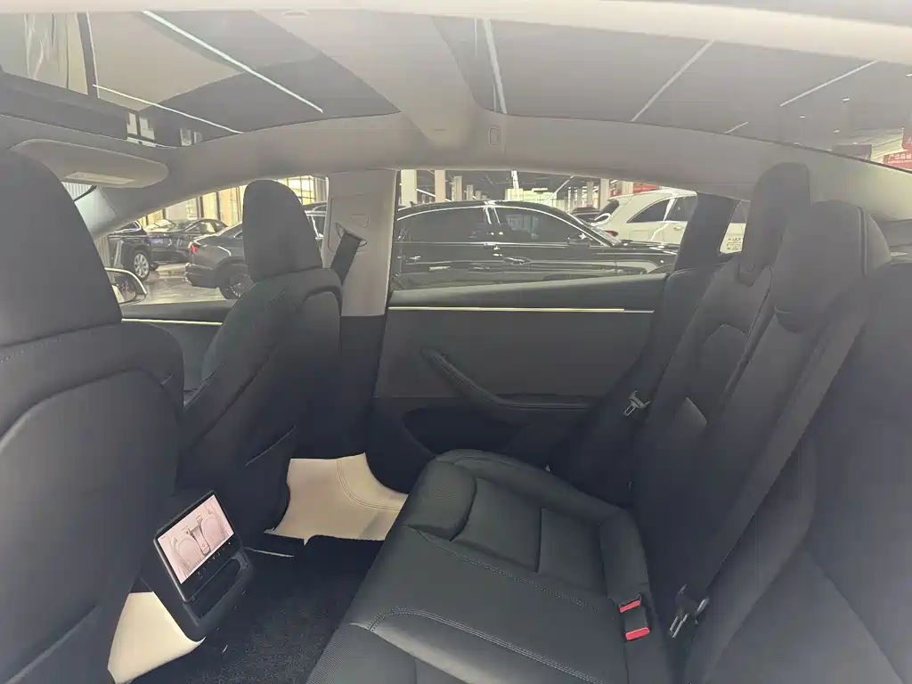 Tesla Model 3 — миниатюра 5