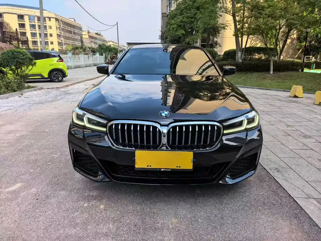 BMW 5 Series — миниатюра 2