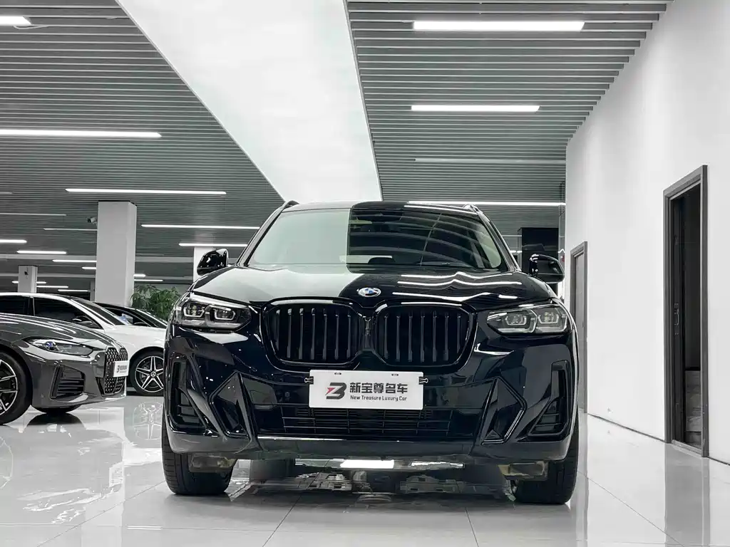 BMW X3 — миниатюра 2
