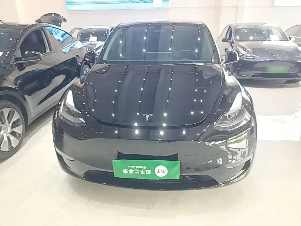 Tesla Model Y — миниатюра 3