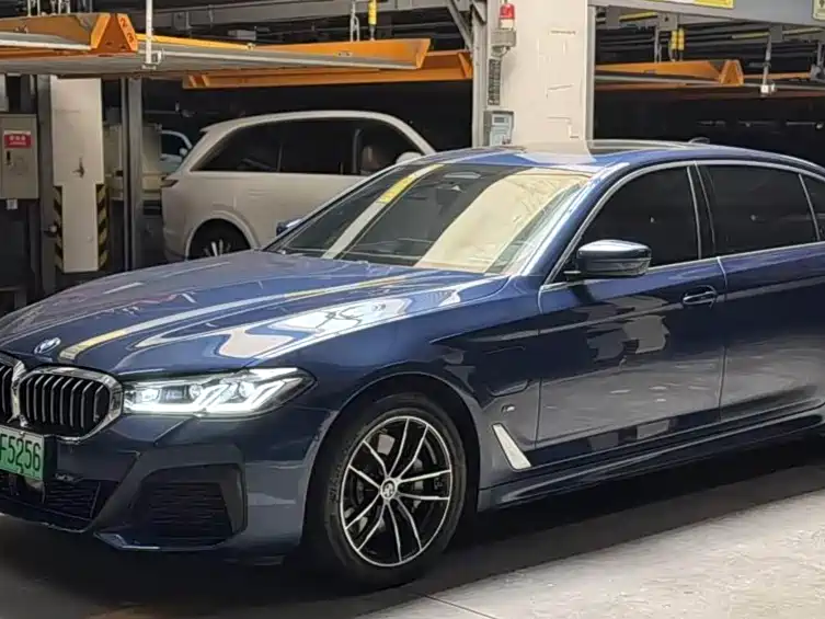BMW 5 Series New Energy 2020
