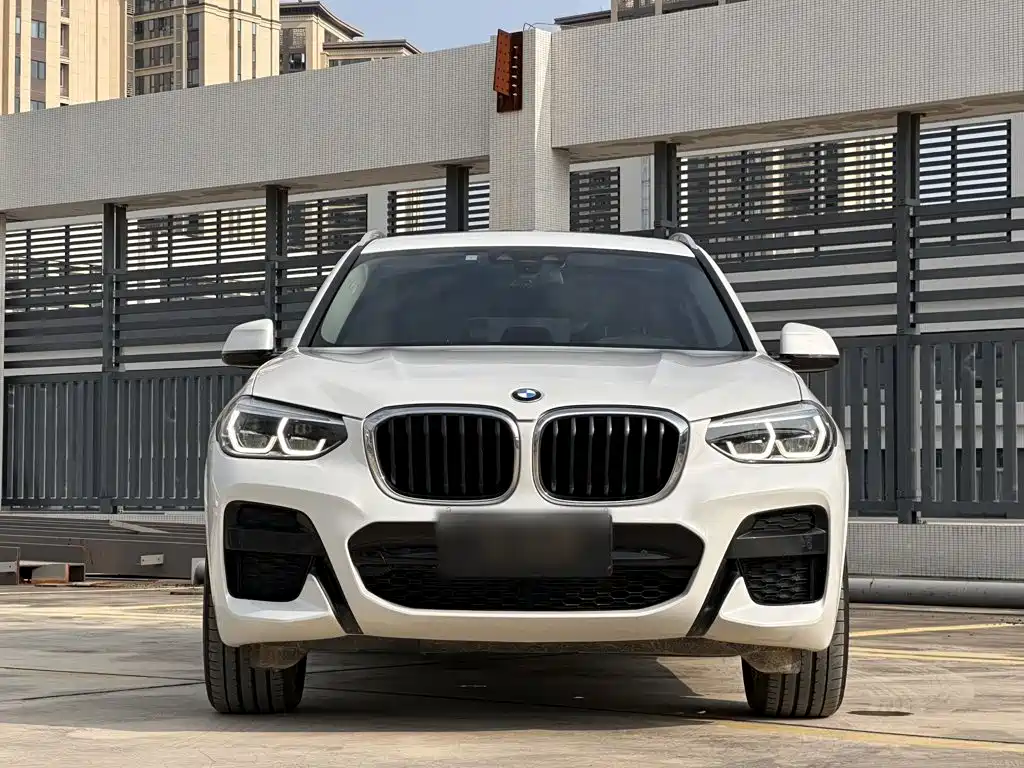 BMW X3 — миниатюра 3