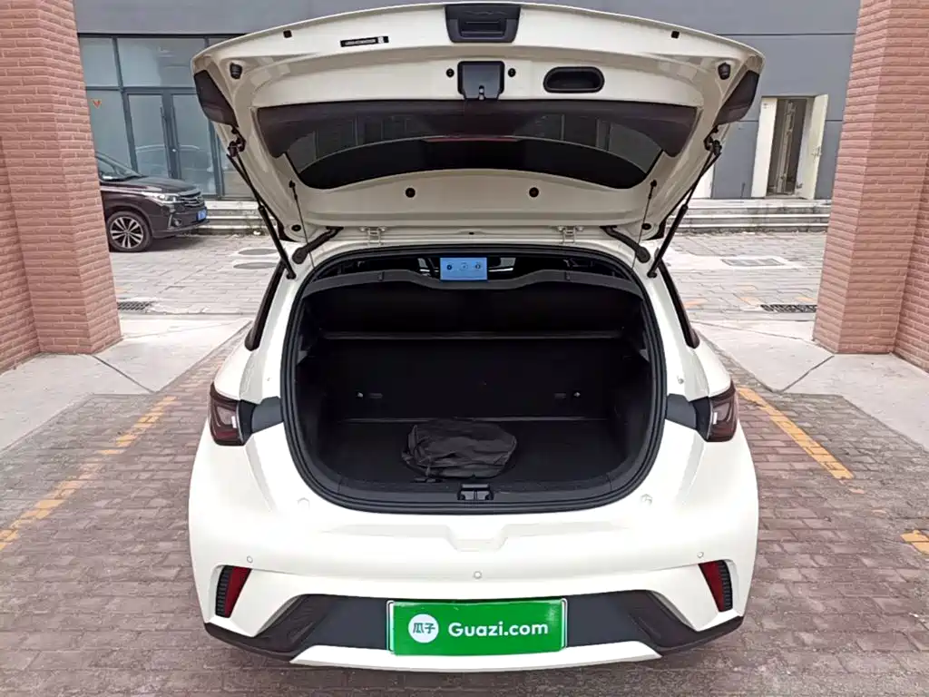 BYD Dolphin — миниатюра 19